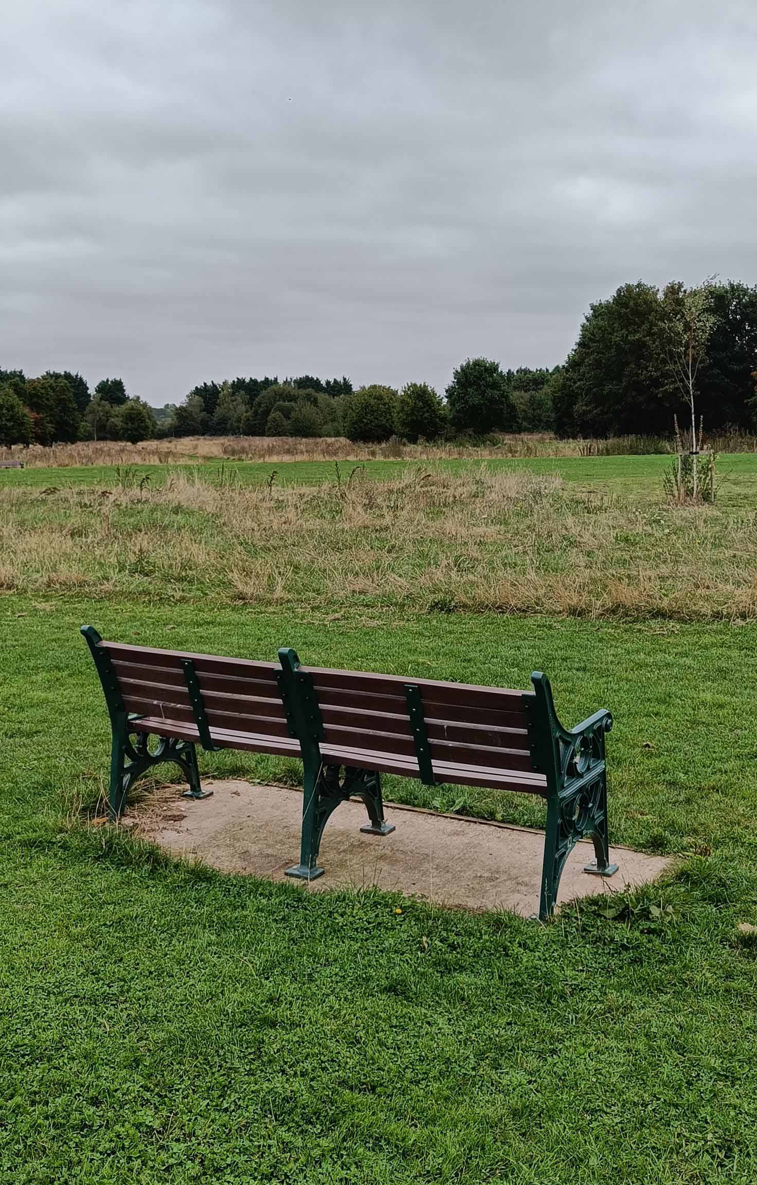 Image of a park bench