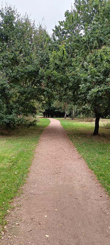 Picture of a path converging in the distance